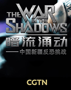暗流涌动——中国新疆反恐挑战