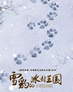 雪豹的冰封王国