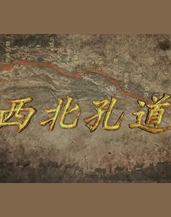 西北孔道纪录片
