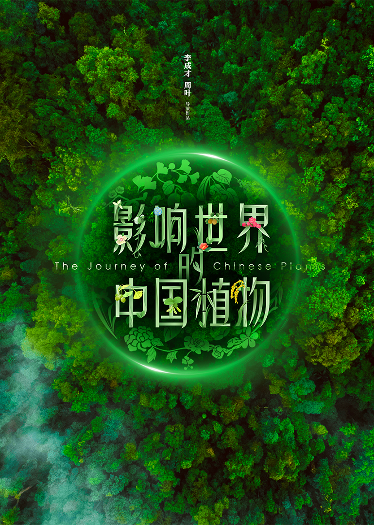 影响世界的中国植物